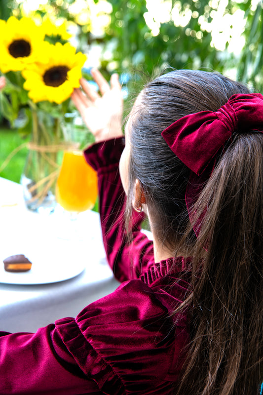 Chiara Girls Velvet Dress with Matching Hair Clip